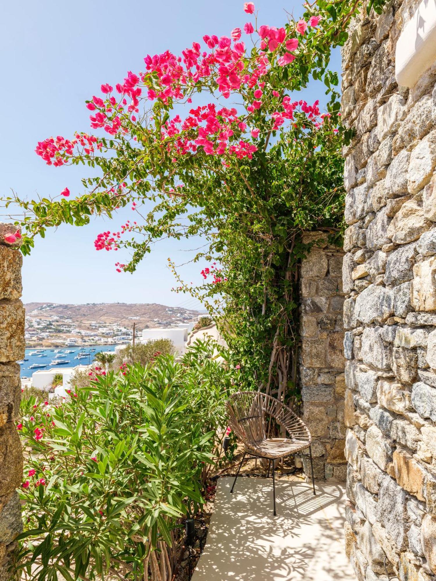V&V Guest House - Luxury Suites Ornos  Exterior photo